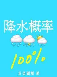 降水概率百分百好看吗