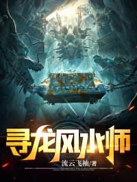 寻龙风水师大结局