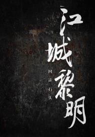 江城黎明txt百度