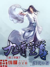 九霄至尊全本完结