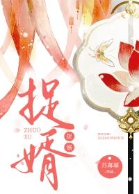 捉婿作者苏幕幕