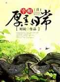 大清宰相厚黑日常乐阅