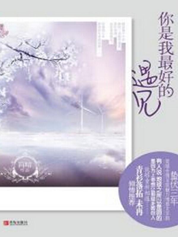 你是我最好的遇见简暗讲的是什么