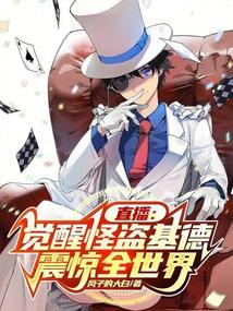 快醒醒怪盗基德