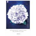 星星上的花好看吗