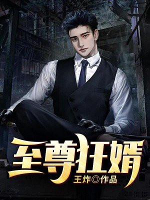 至尊狂婿txt