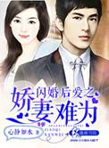 闪婚后爱裴少的娇妻段溪鸣