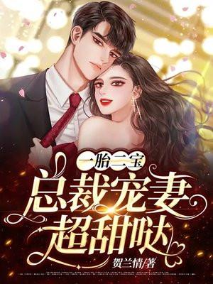 一胎二宝总裁宠妻超甜哒 贺兰情