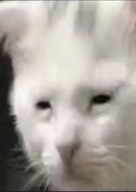 非典型ntr免费观看