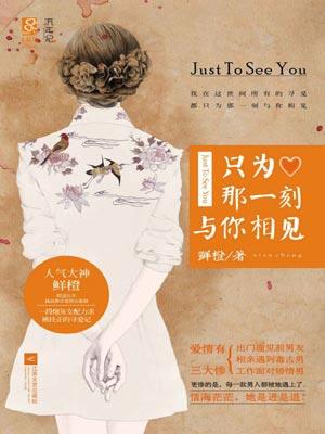 只为那一刻与你相见原著免费阅读