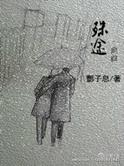 殊途同爱金陵雪