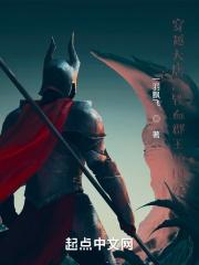 铁血郡王护国殇百度