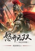三国之单身狗怒开无双TXT