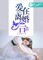 爱在离婚后免费