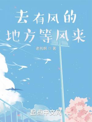 去有风的地方等风来讲的什么