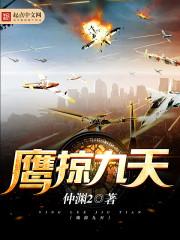 鹰掠九天第二部云巅之上