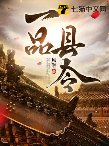 一品县令全集完整版