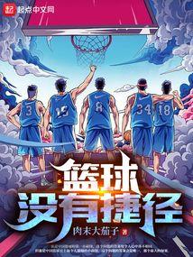 篮球没有捷径TXT