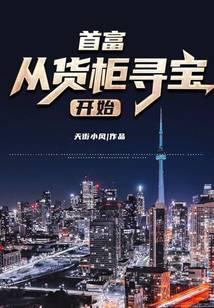 首富从货柜寻宝开始全文免费