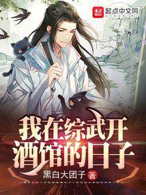 我在综武开酒馆的日子无弹窗