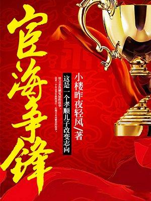 宦海争锋阅读佚名