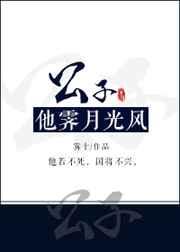 公子他霁月光风作者雾十