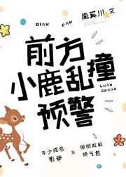 前方小鹿乱撞