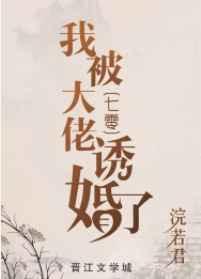 我被大佬诱婚了七零宝书