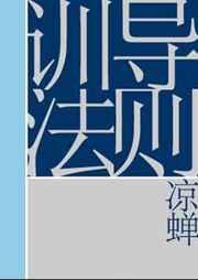 训导法则是双洁吗