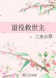 退役救世主长评