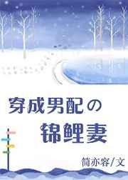 穿成男配的锦鲤妻TXT