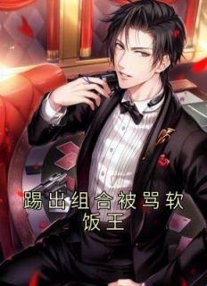 音乐鬼才穿越重生林毅苏瑶