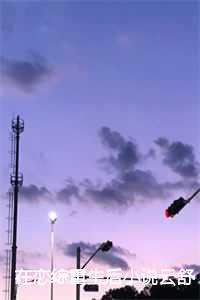 重生后参加恋综