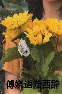 傅晞陆洹宸章节