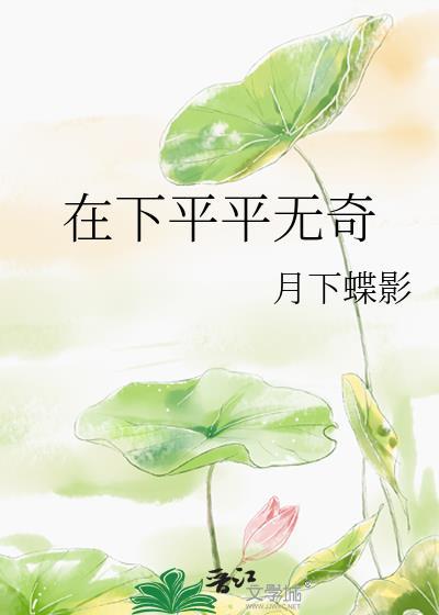 在下平平无奇说的什么