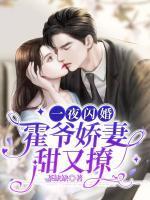 一夜闪婚霍爷娇妻甜又撩