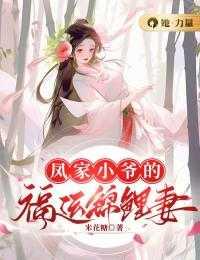 女主是凤家七小姐的