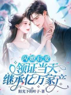 闪婚结果