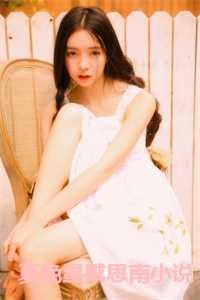 女主叫夏晚星的