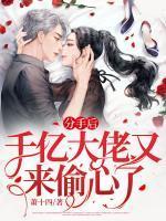 分手后大佬又美又飒洛柠陆洵免费