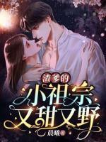 渣爹的崽崽三岁半作者少寒