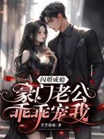 闪婚老公超宠