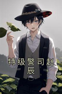 主角名字叫赵辰的