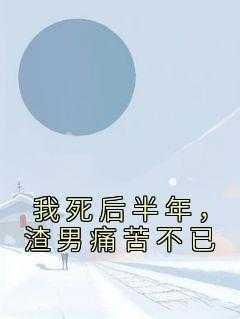 我死后渣攻后悔了夜半弯结局