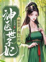 神医世子妃番外篇