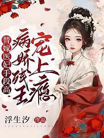 替嫁病妃、腹黑王爷请接招