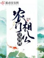 农门相公是锦鲤乐文