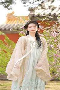 落跑新娘落入怀免费阅读
