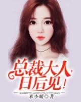 总裁大人你