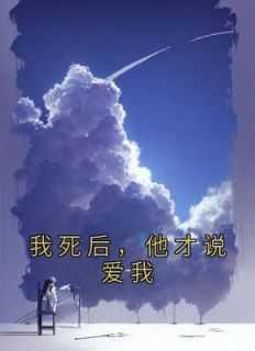 他才说爱我陆放